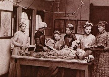 Medical Students in Pennsylvannia
